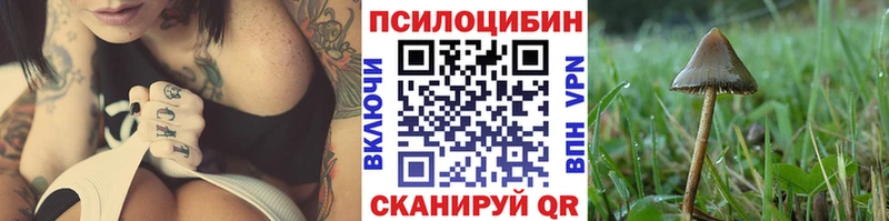 как найти наркотики  Дзержинск  Галлюциногенные грибы мицелий 