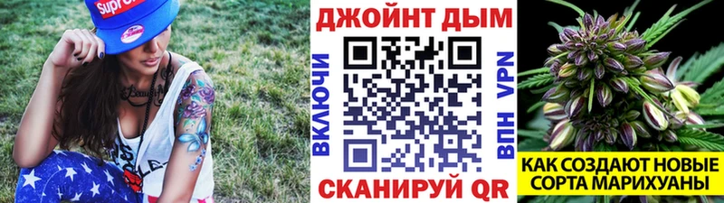 Бошки Шишки гибрид  Дзержинск 